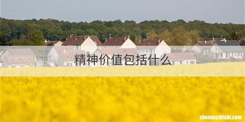 精神价值包括什么