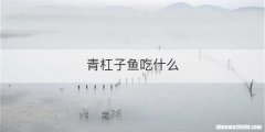 青杠子鱼吃什么
