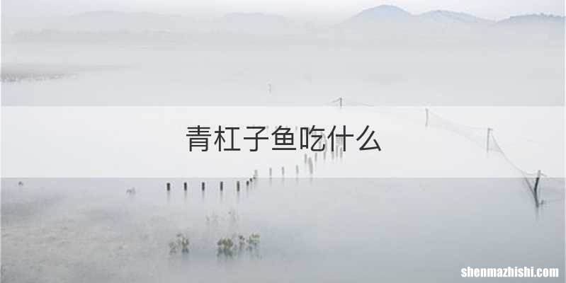 青杠子鱼吃什么