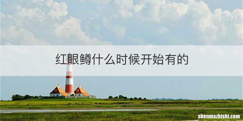 红眼鳟什么时候开始有的