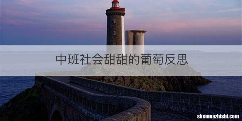 中班社会甜甜的葡萄反思