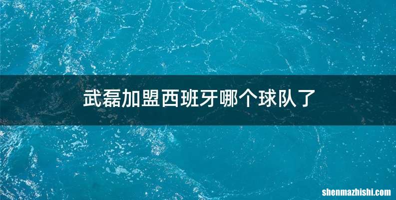 武磊加盟西班牙哪个球队了