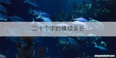 二十个字的横幅多长