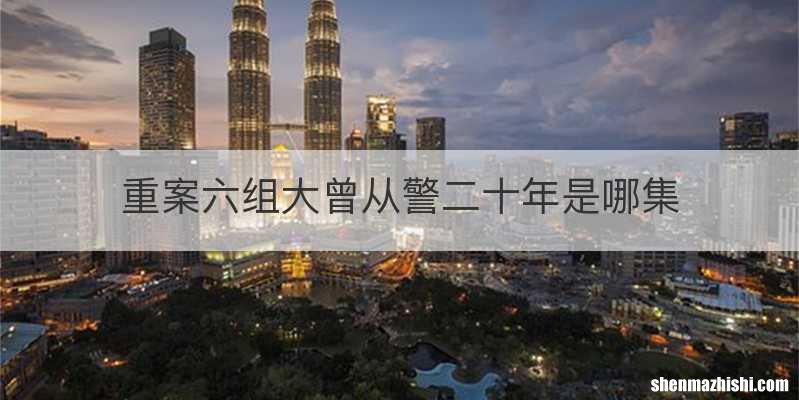 重案六组大曾从警二十年是哪集