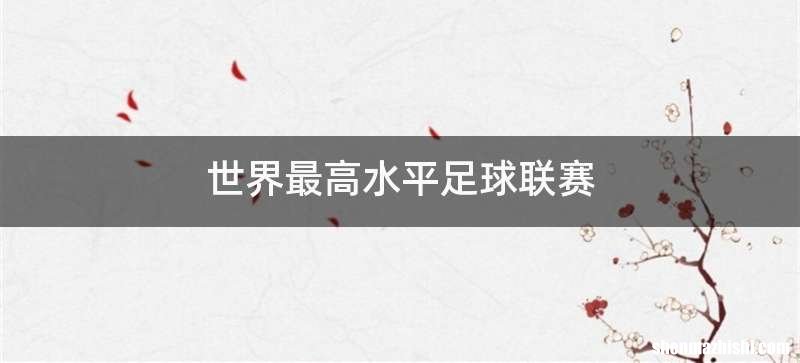 世界最高水平足球联赛