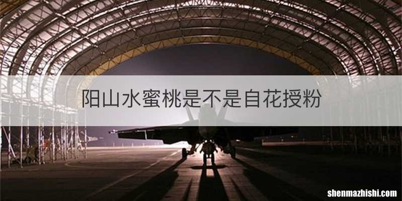 阳山水蜜桃是不是自花授粉