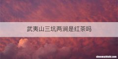 武夷山三坑两涧是红茶吗