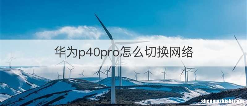 华为p40pro怎么切换网络
