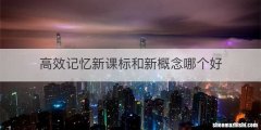 高效记忆新课标和新概念哪个好
