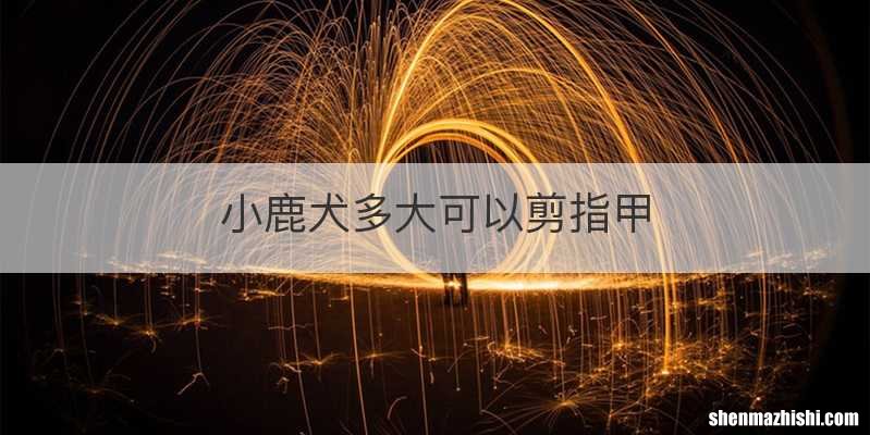 小鹿犬多大可以剪指甲