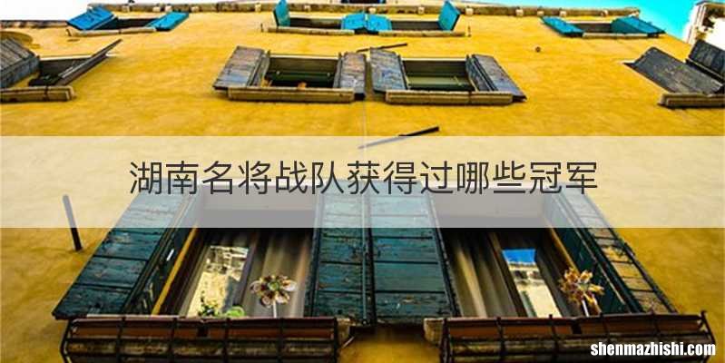 湖南名将战队获得过哪些冠军