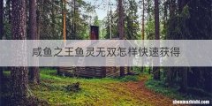 咸鱼之王鱼灵无双怎样快速获得