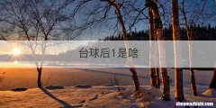 台球后1是啥