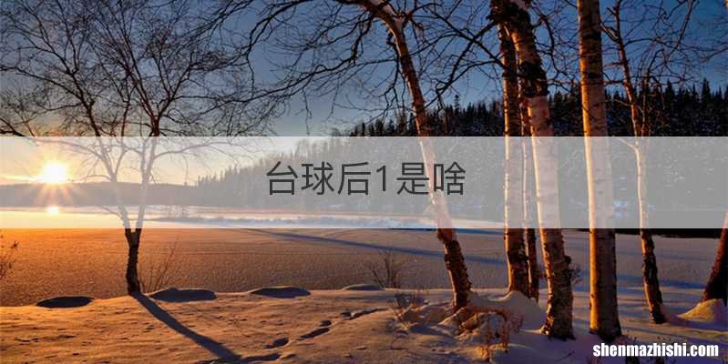 台球后1是啥