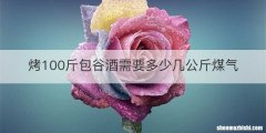 烤100斤包谷酒需要多少几公斤煤气