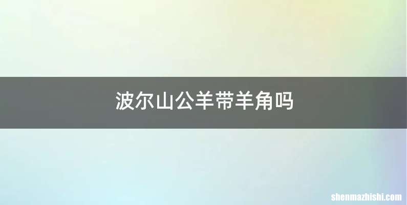 波尔山公羊带羊角吗