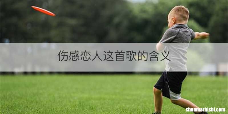 伤感恋人这首歌的含义