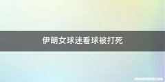 伊朗女球迷看球被打死