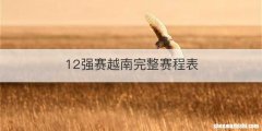 12强赛越南完整赛程表