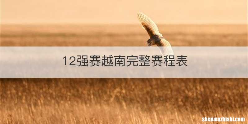 12强赛越南完整赛程表