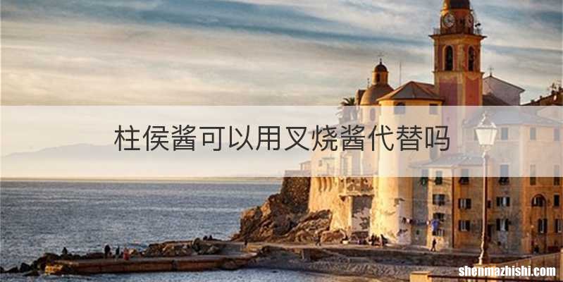 柱侯酱可以用叉烧酱代替吗