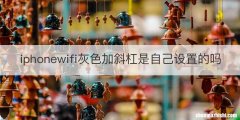 iphonewifi灰色加斜杠是自己设置的吗