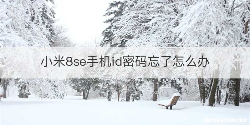 小米8se手机id密码忘了怎么办