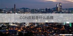 CON皮鞋是什么品牌