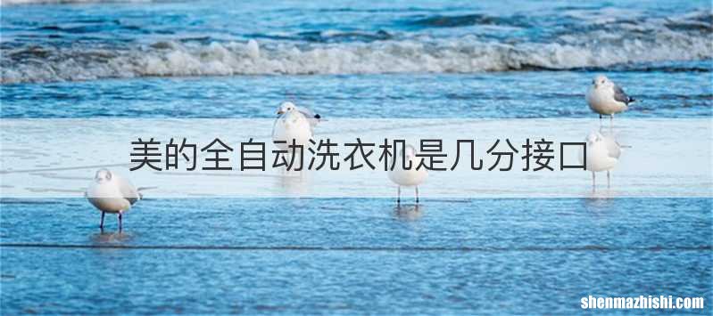 美的全自动洗衣机是几分接口