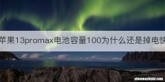 苹果13promax电池容量100为什么还是掉电快