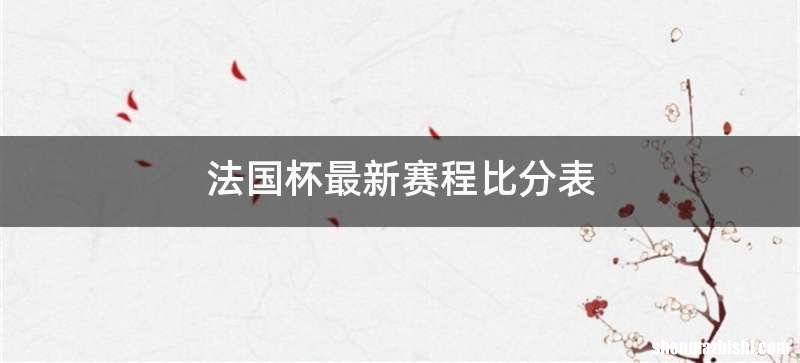 法国杯最新赛程比分表