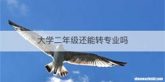 大学二年级还能转专业吗