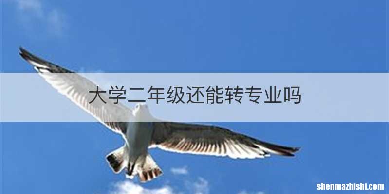 大学二年级还能转专业吗