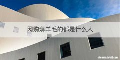 网购薅羊毛的都是什么人