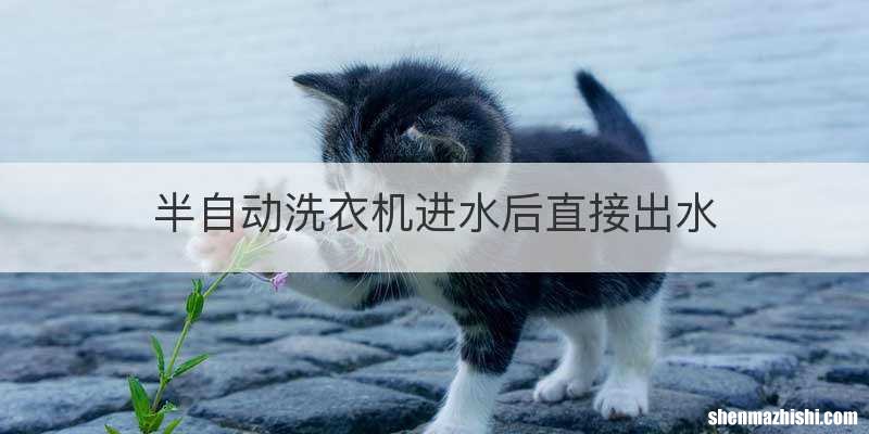 半自动洗衣机进水后直接出水