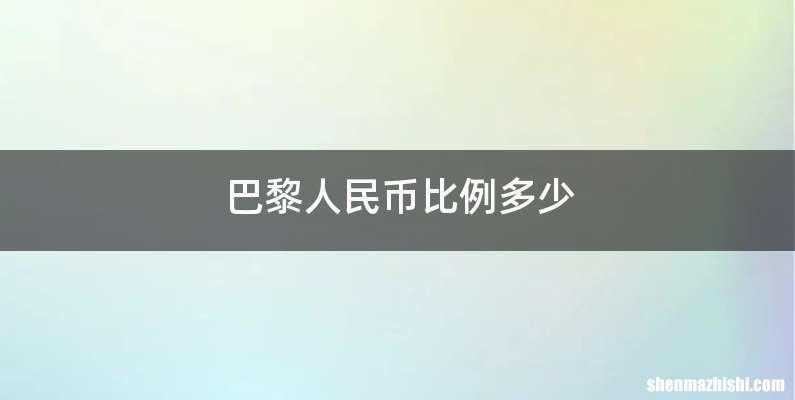 巴黎人民币比例多少