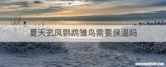 夏天玄凤鹦鹉雏鸟需要保温吗