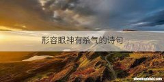 形容眼神有杀气的诗句