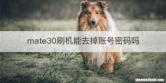 mate30刷机能去掉账号密码吗