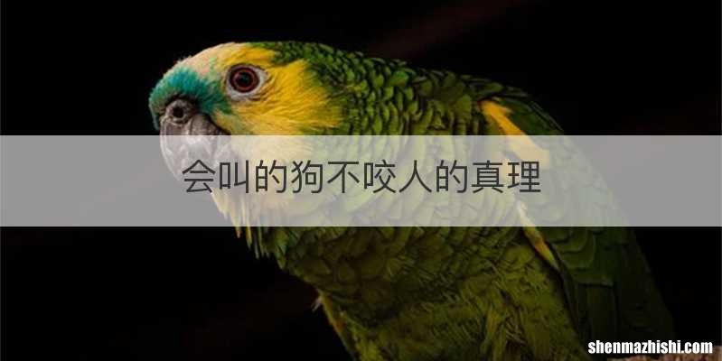 会叫的狗不咬人的真理