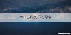 为什么狗狗不吃零食