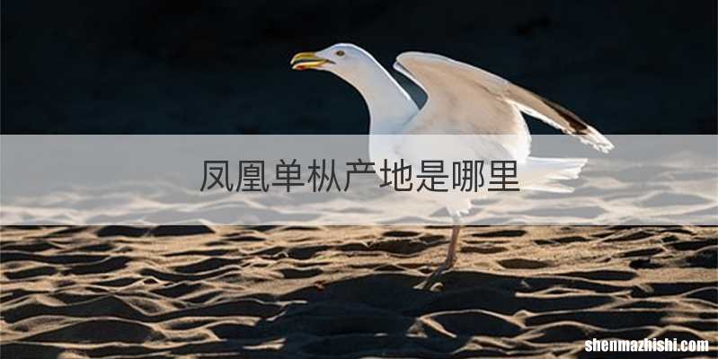 凤凰单枞产地是哪里