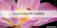vivoy33e的手机卡插哪里