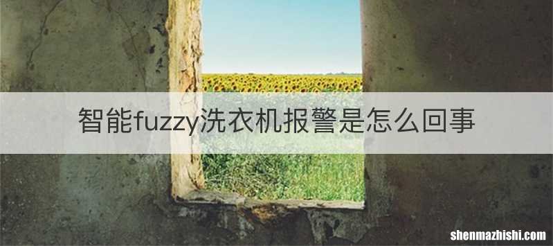 智能fuzzy洗衣机报警是怎么回事