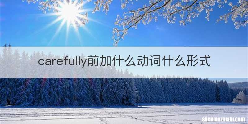 carefully前加什么动词什么形式