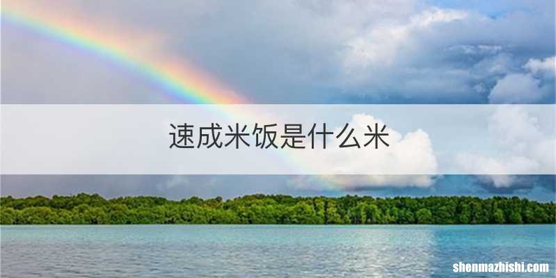 速成米饭是什么米