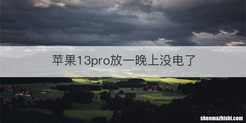 苹果13pro放一晚上没电了