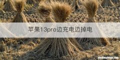 苹果13pro边充电边掉电