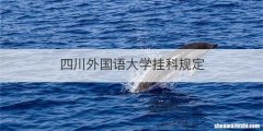 四川外国语大学挂科规定