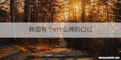 韩国有个e什么牌的口红